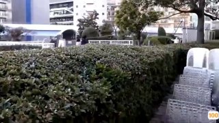 ...国产高清精品一区二区不卡,99久久精品国产免费看...